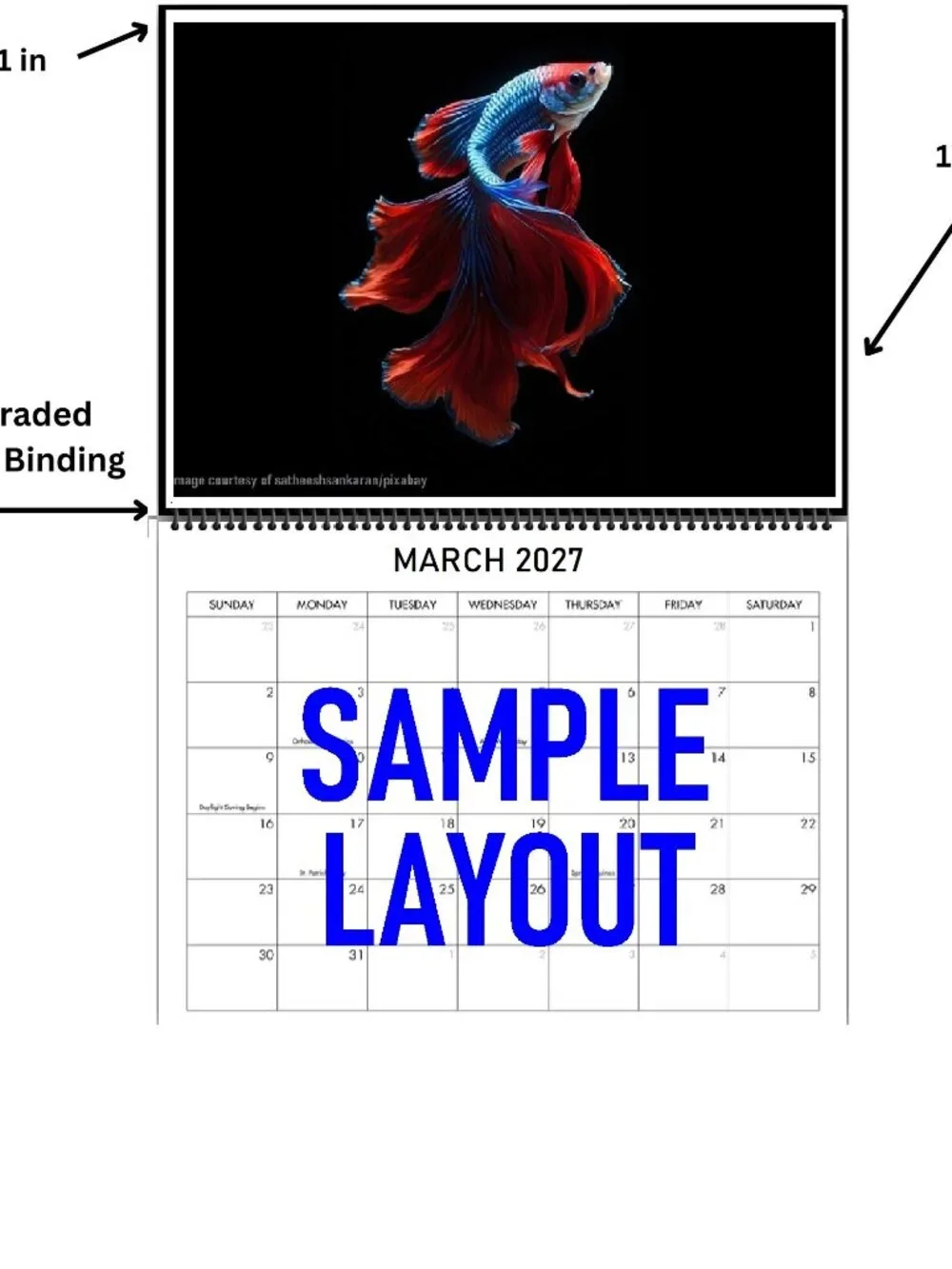 Betta Fish Calendar 2027 Betta Fish Pictures Siamese Fighting Fish Art Calendar